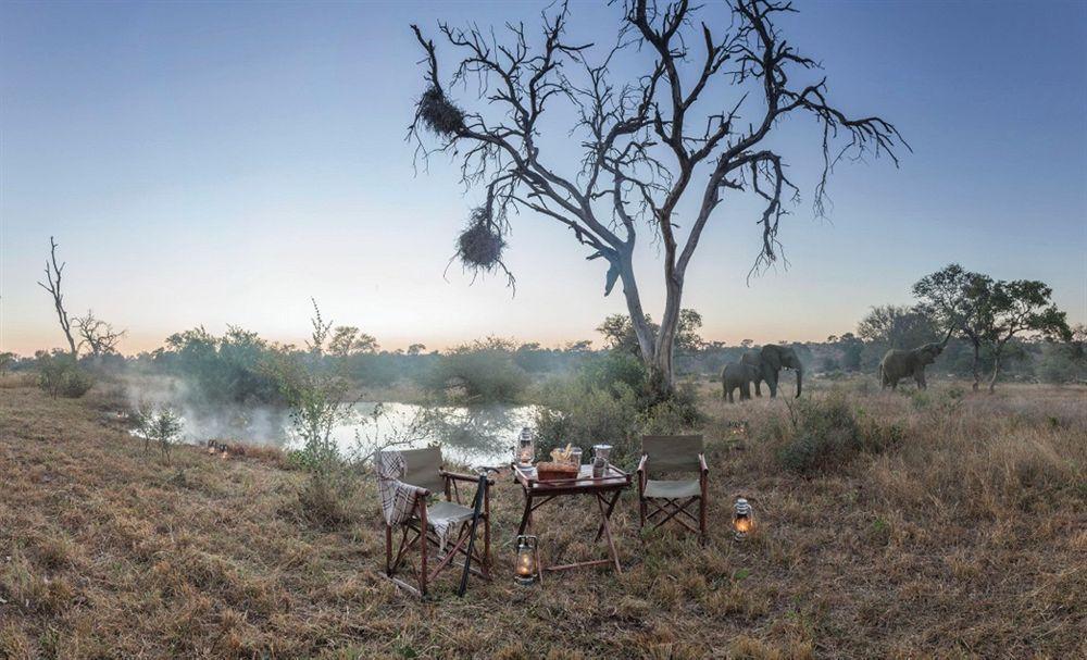 Kings Camp Private Game Reserve Reserva Natural de Klaserie Exterior foto